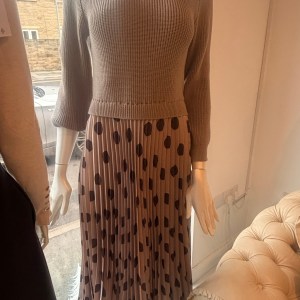 img_6974 Champagne spot Jumper dress